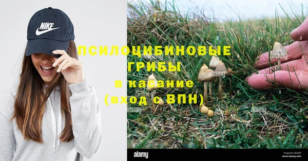 синтетический гашиш Дмитровск