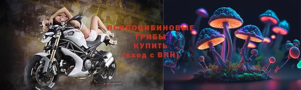 спайс Покачи