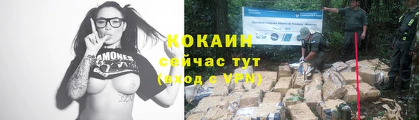 спайс Покачи