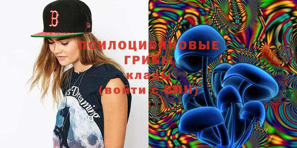 спайс Покачи
