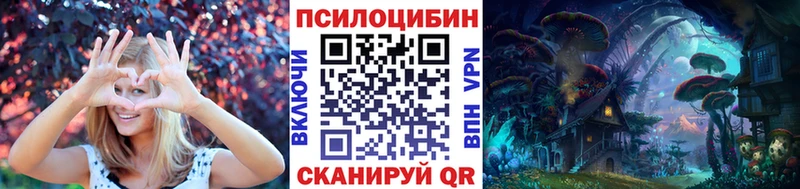 OMG сайт  Сегежа  Псилоцибиновые грибы Psilocybe 